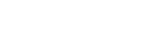 Nienaber Immobilien Logo